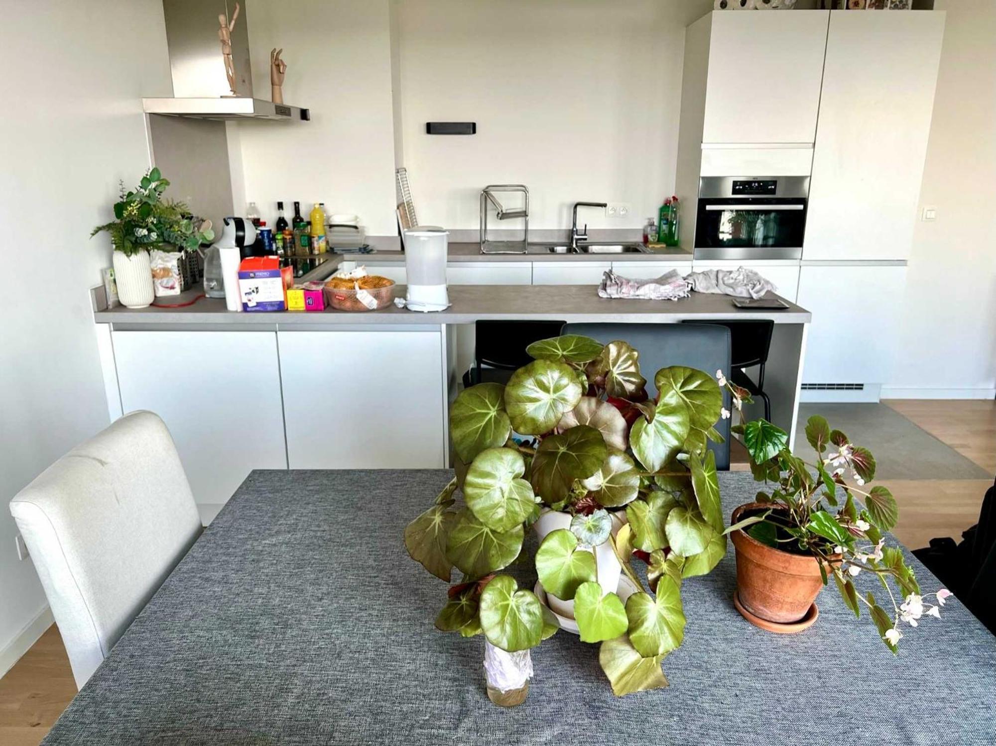 Close To Atomium Appartement *